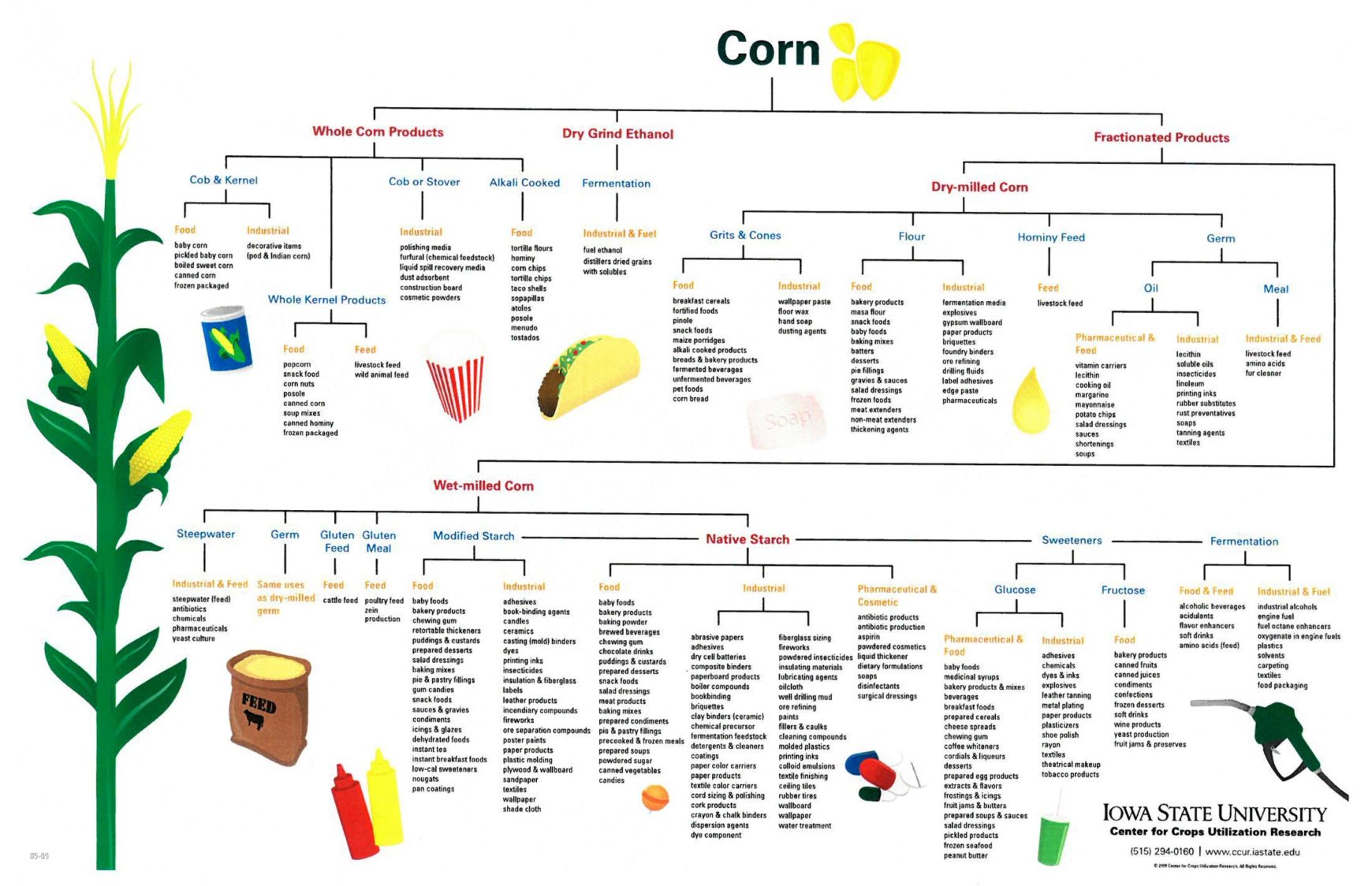 Frequently Asked Questions | Corn Refiners Association