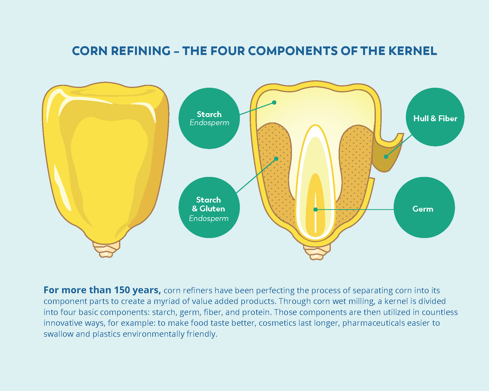 Four Components of the Kernel Corn Refiners Association