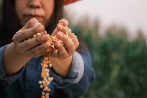 Asian female holds corn kernels