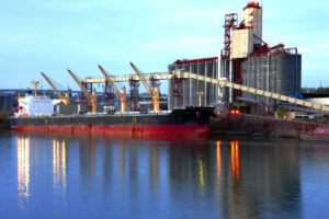 bulk cargor ship loading grain for export