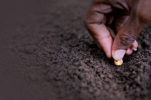 diverse farmer planting corn