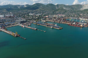 busy port with large grain depot