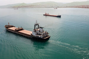 bulk carrier ships in harbor