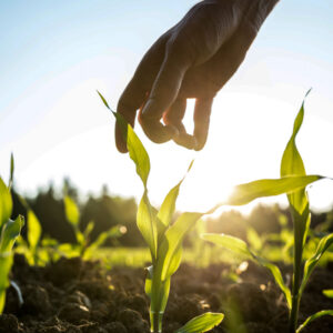 a new day for the corn refiners association