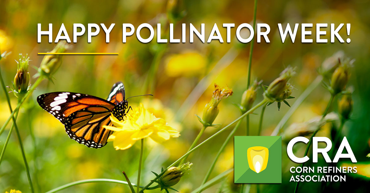 CRA Celebrates National Pollinator Week And Monarchs