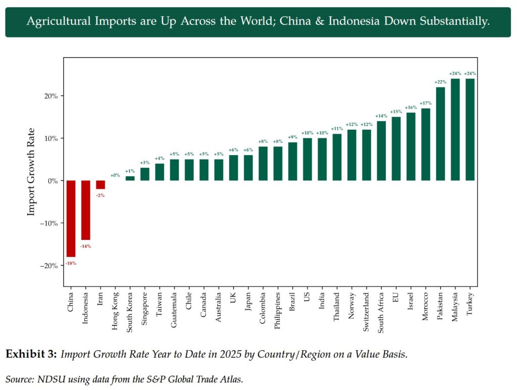 China’s Import Declines Reflect Broader Demand Weakness